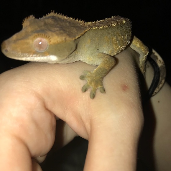 Meet your Posher, Ashley - Picture 7 of 8